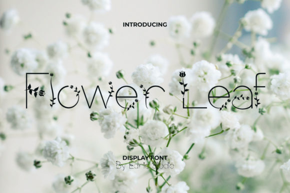 Flower Leaf: A Display Font for Creative Projects
