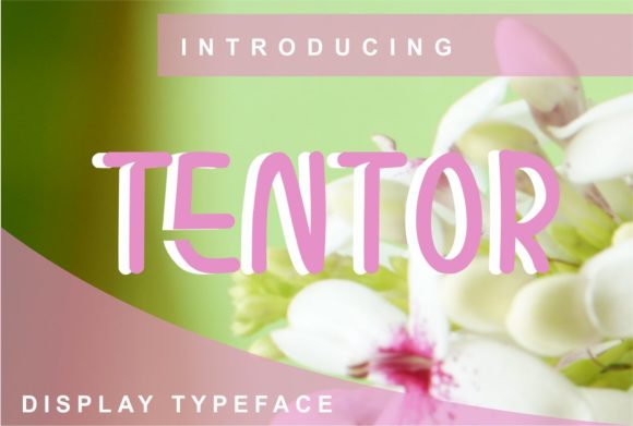 Tentor: A Trendy Display Font for Modern Branding
